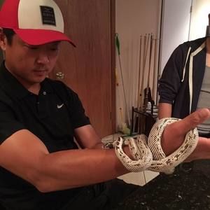 Meet your Posher, Peter